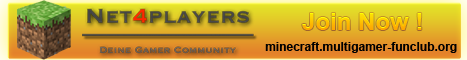 Net4Players Server banner