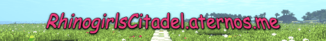 Citadel banner